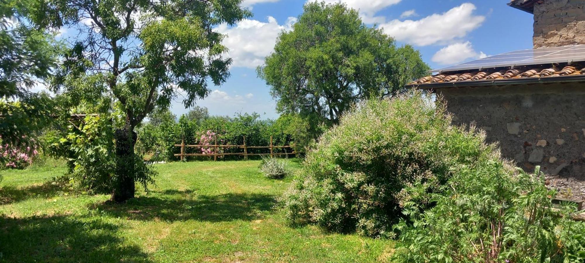 Casolare Di Campagna Villa Viterbo Luaran gambar